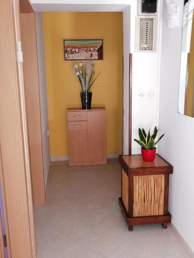 Apartman Bruna Novigrad Istria Eksteriør bilde